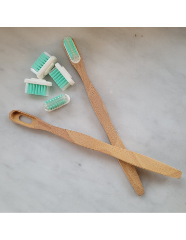 Brosse à dents en hêtre fabriquée en France en bois labellisé, pils nylon souples sans colle chimique et compostable