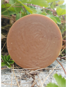 Savon au lait de jument bio pour le corps, le visage et les cheveux à l'huile de ricin nourrissante et conditionnante